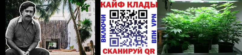 Купить наркотики цена Красноярск Каннабис  Амфетамин  A-PVP  мега ссылка  Меф мяу мяу  ГАШ 