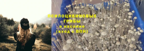 мяу мяу мука Беломорск