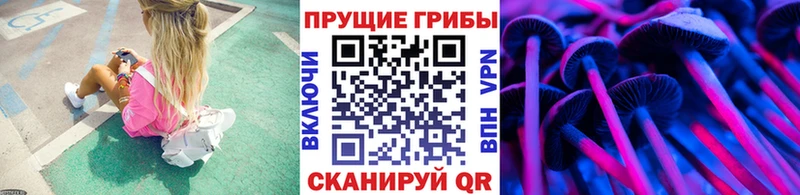 Псилоцибиновые грибы Psilocybine cubensis  Красноярск 